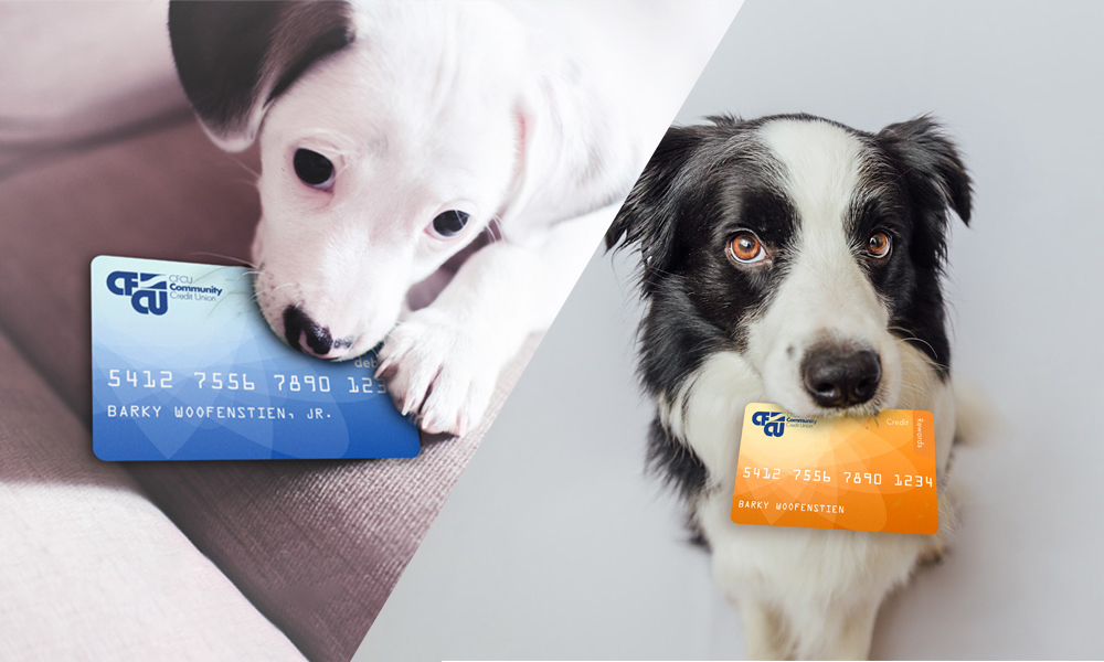 dogs with credit cards